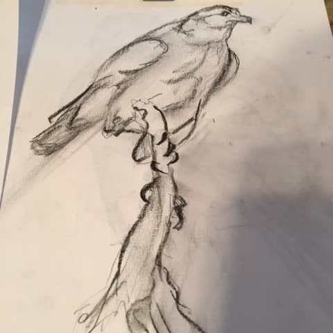 Working out the pose on paper