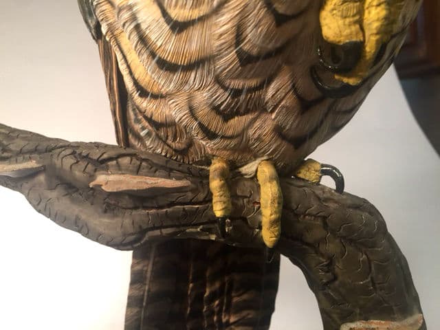 Peregrine Falcon thumbnail 4