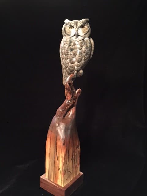 Screech Owl thumbnail 2