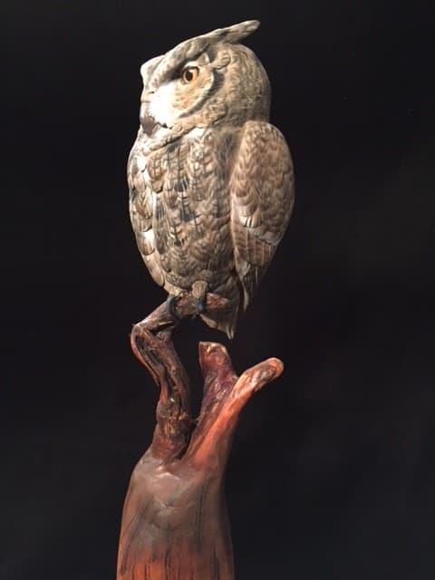 Screech Owl thumbnail 3