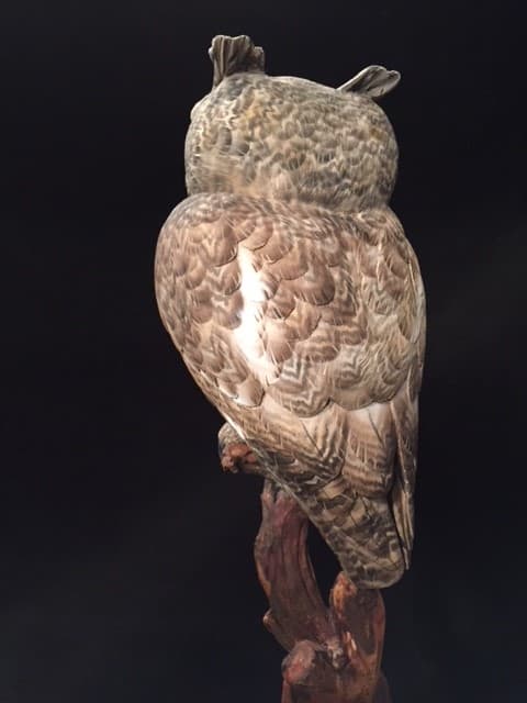 Screech Owl thumbnail 4