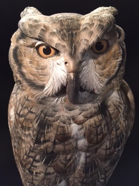 Screech Owl thumbnail 5