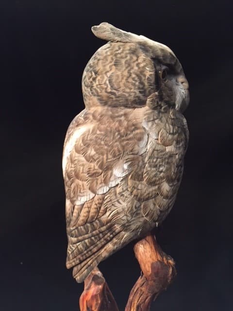 Screech Owl thumbnail 6