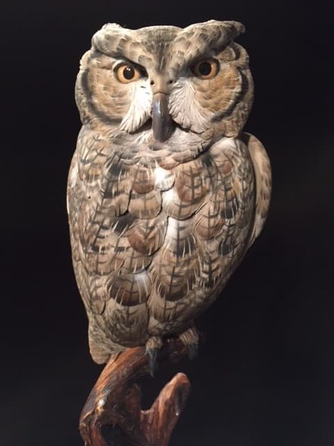 Screech Owl thumbnail 7