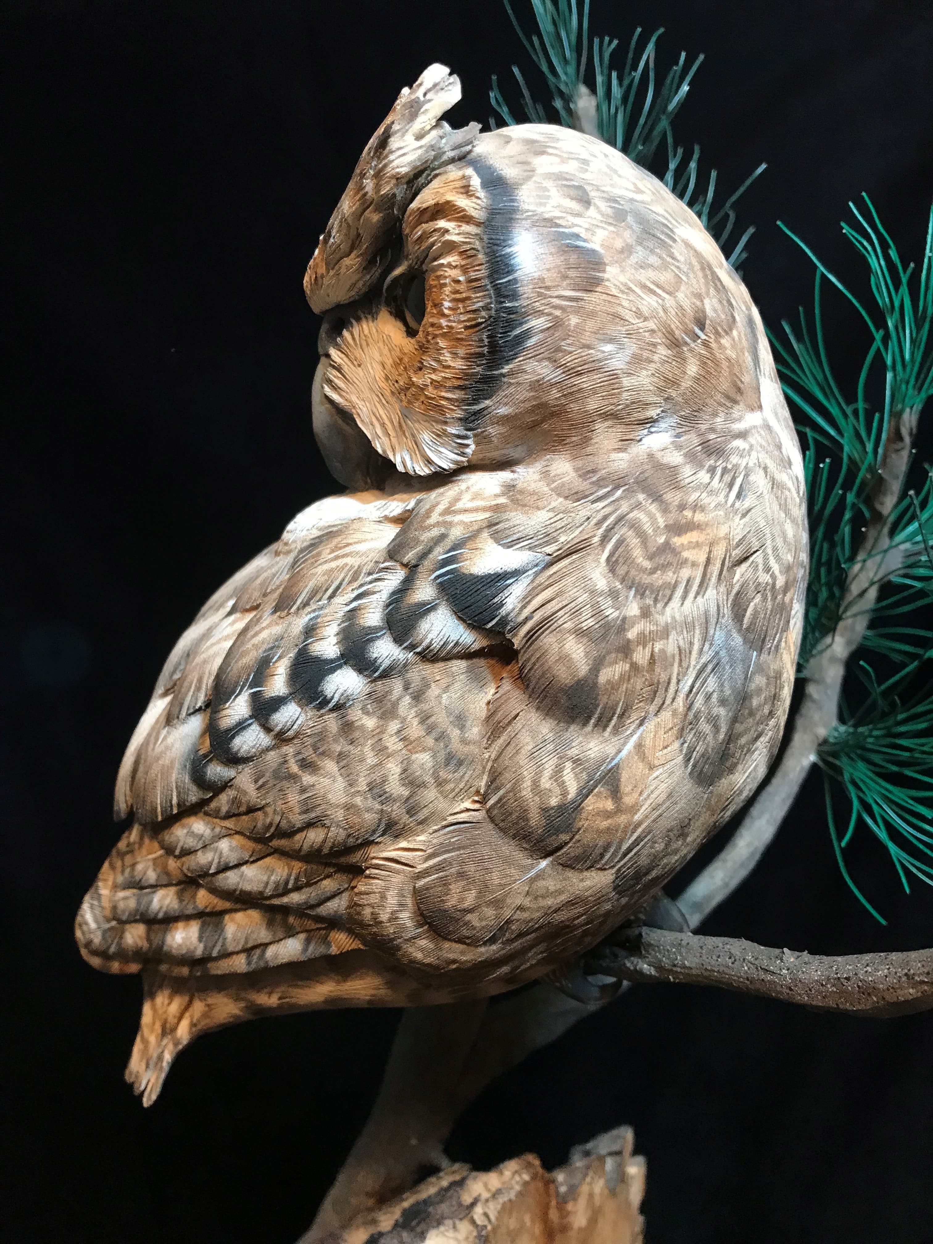 Screech Owl - Image 1