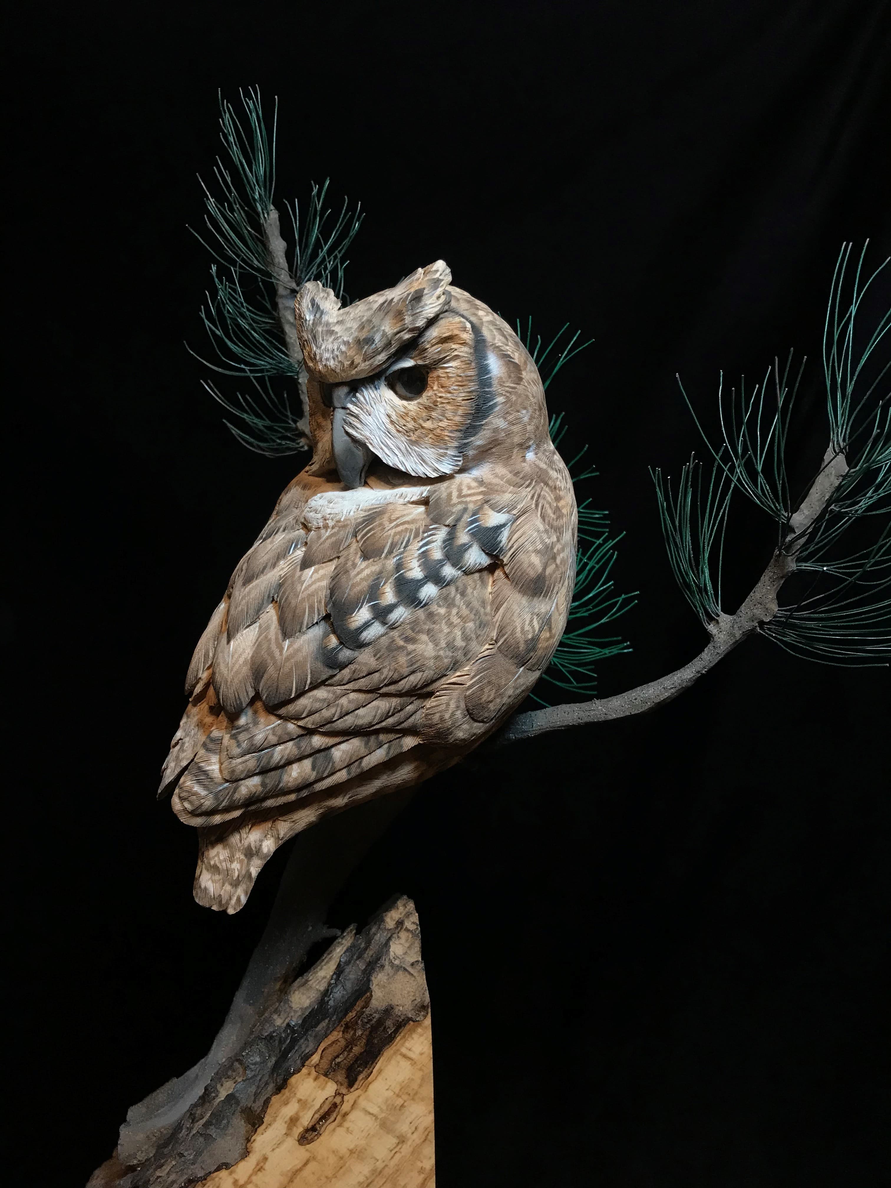 Screech Owl thumbnail 2