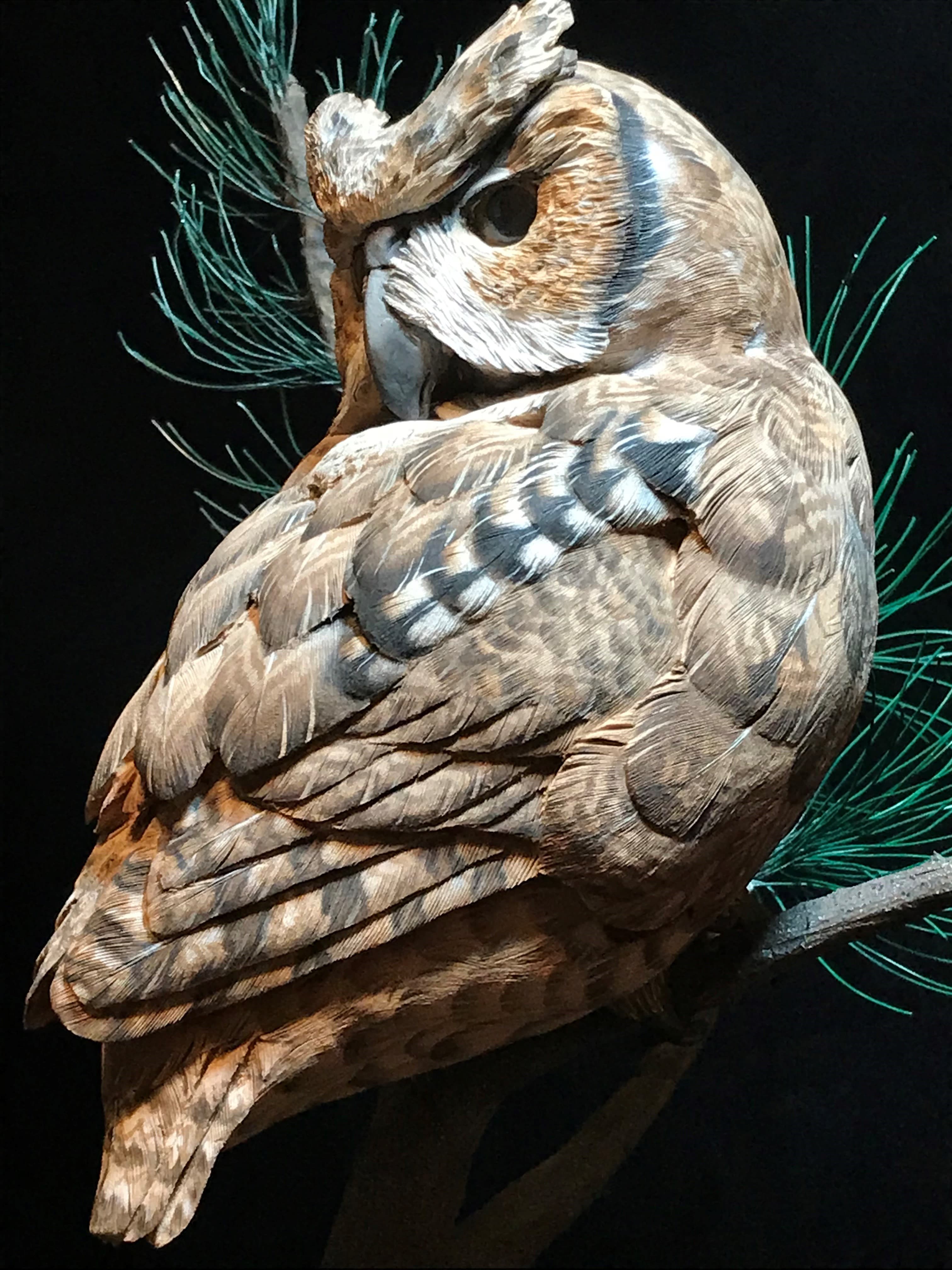 Screech Owl thumbnail 3