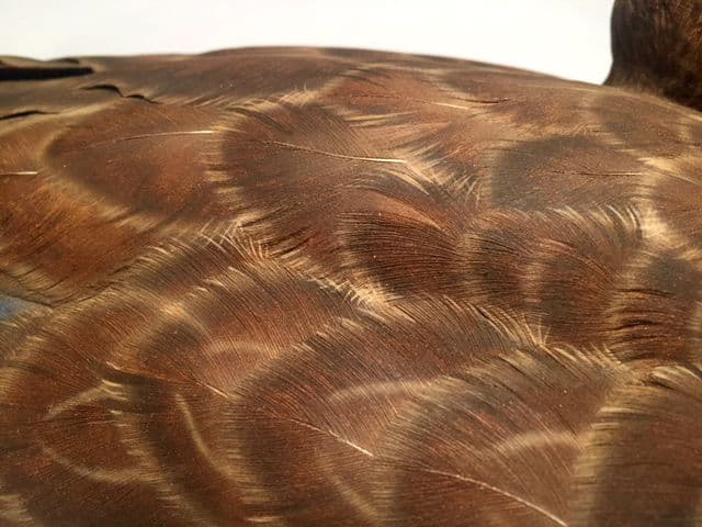 Black Duck thumbnail 2