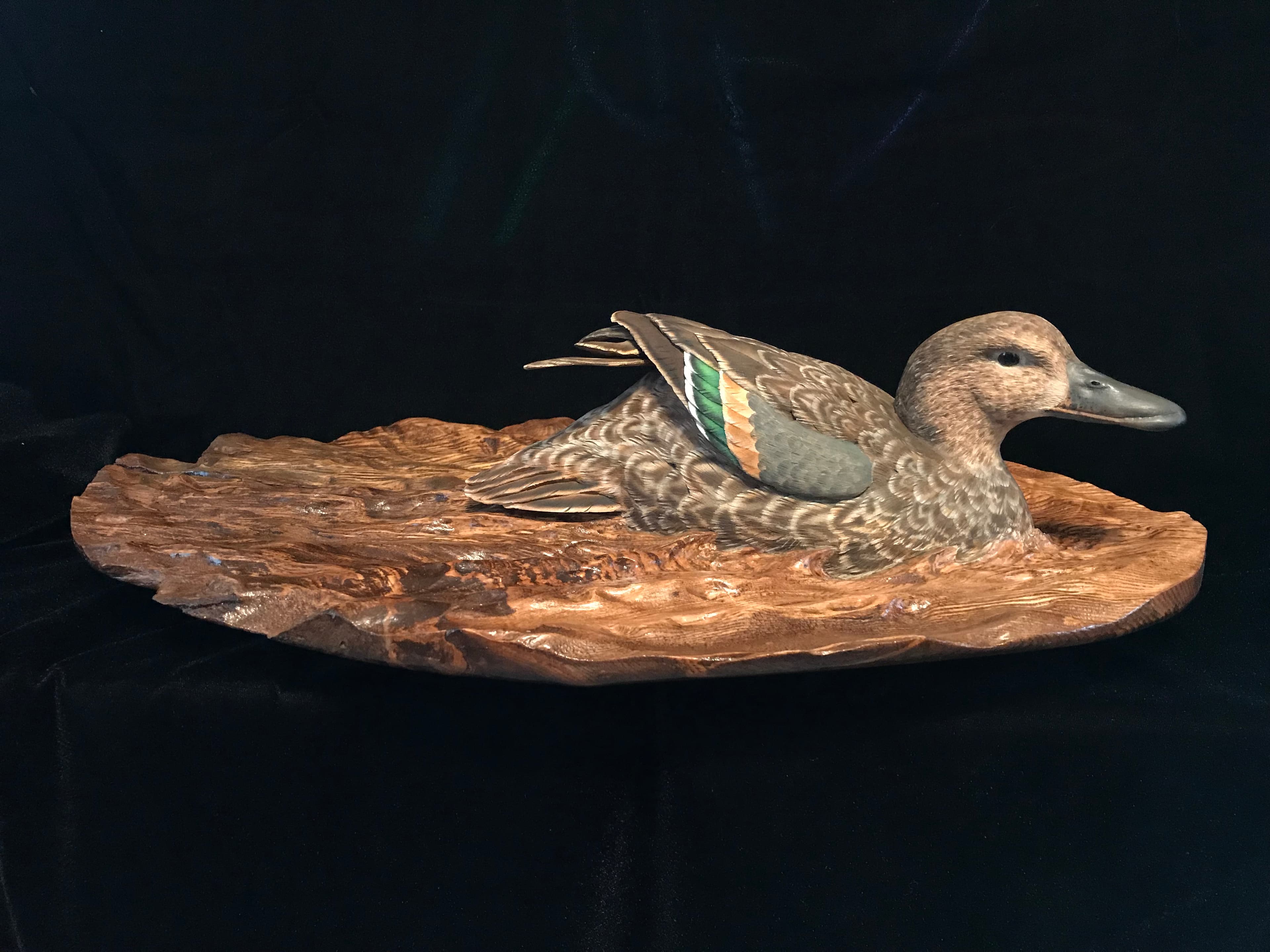 Blue Winged Teal - Image 1