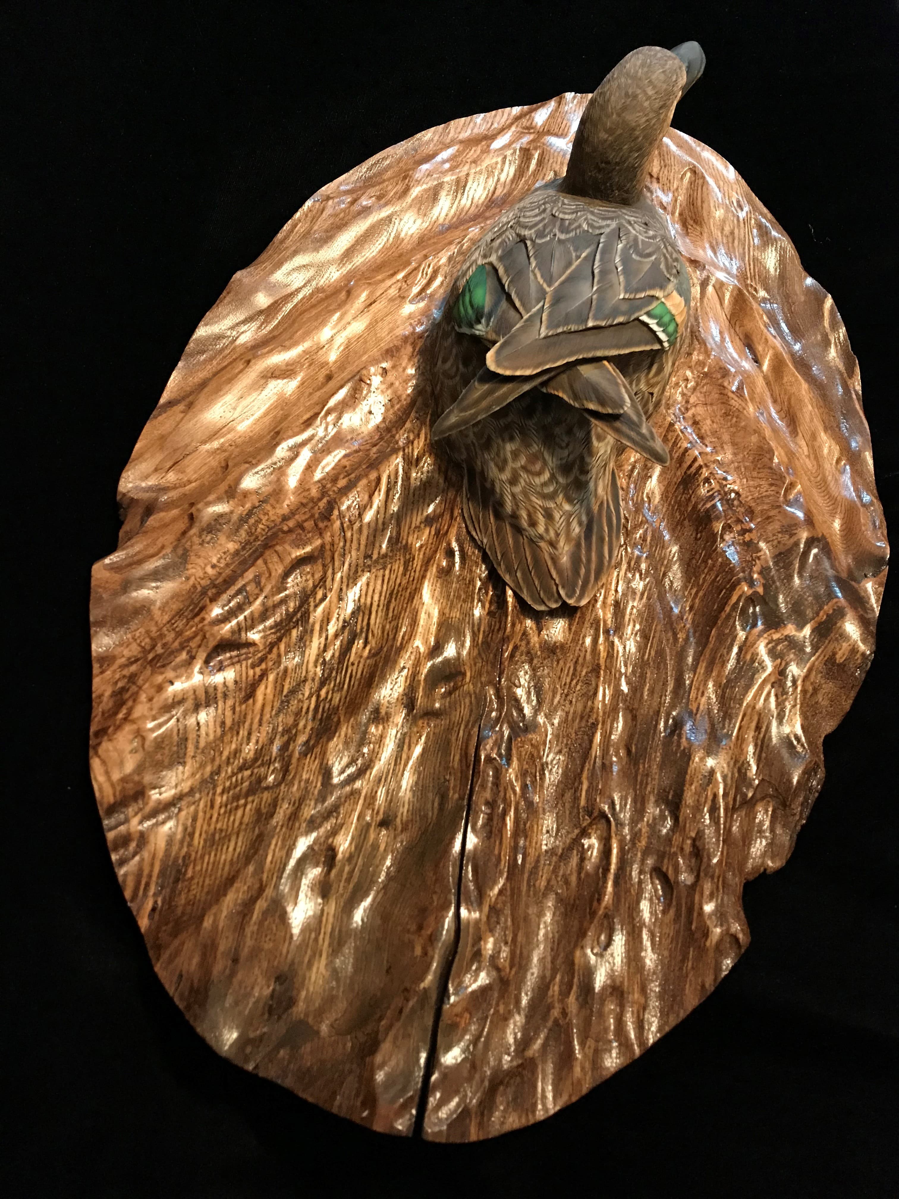 Blue Winged Teal thumbnail 2