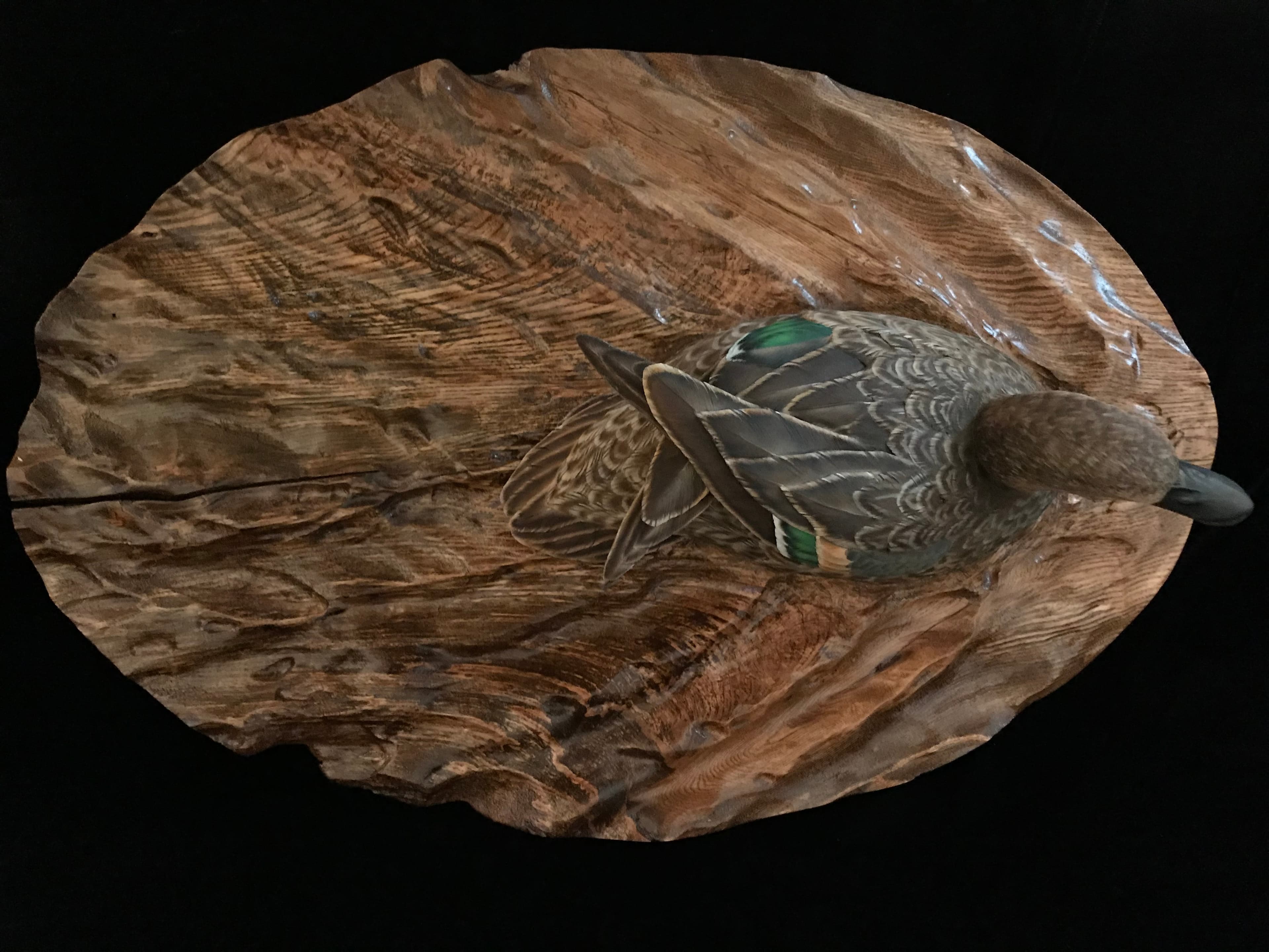 Blue Winged Teal thumbnail 3