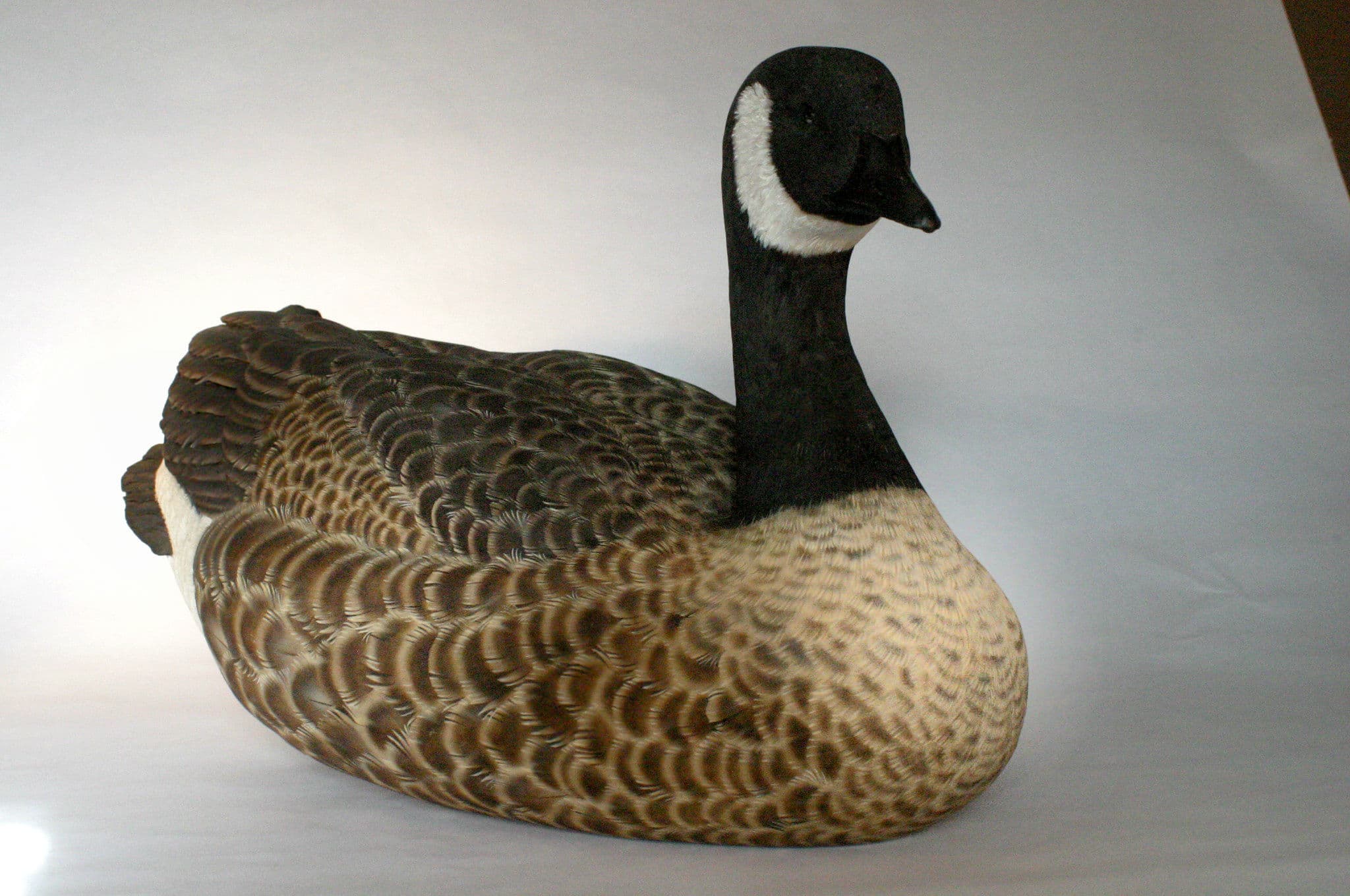 Canada Goose - Image 1