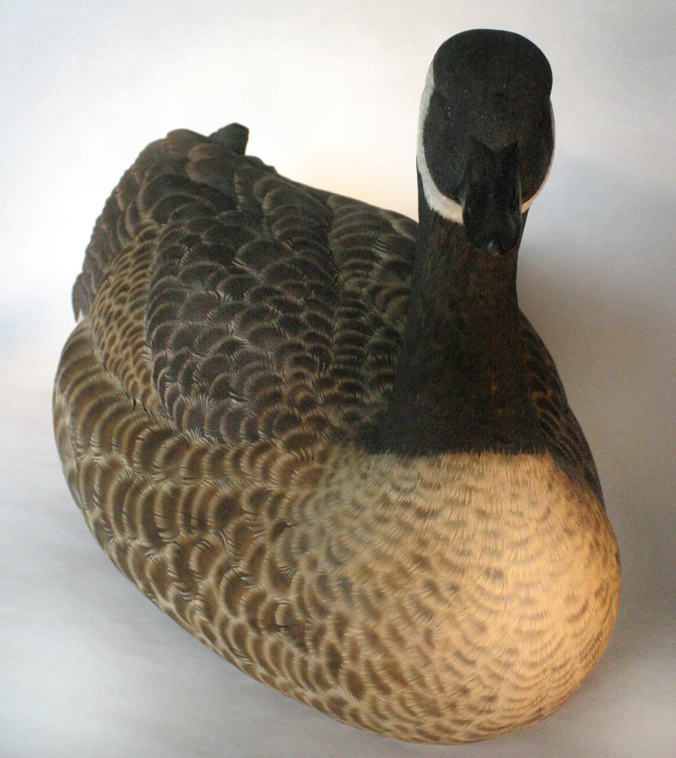 Canada Goose thumbnail 3