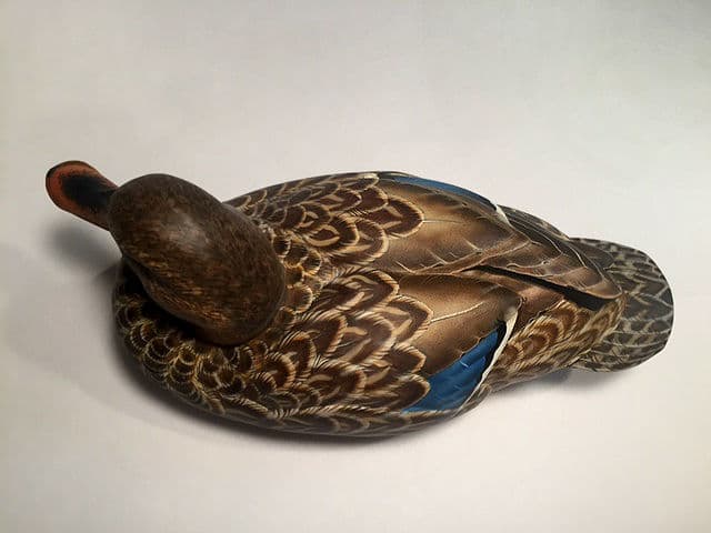 Mallard - Image 1