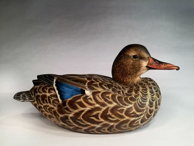 Mallard thumbnail 2