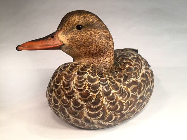 Mallard thumbnail 4