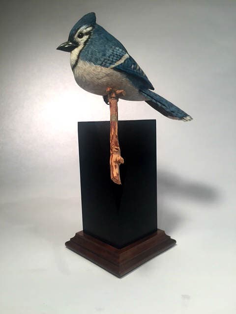 Blue Jay - Image 1